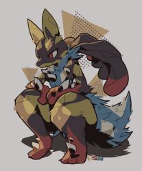 lucario from pokemon