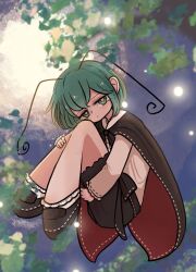 wriggle nightbug from touhou