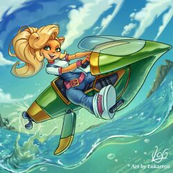 coco bandicoot from crash bandicoot (series)
