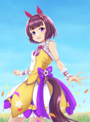 nishino flower (umamusume) from umamusume