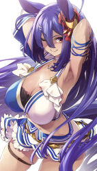 hishi amazon (umamusume) from umamusume by thomasz
