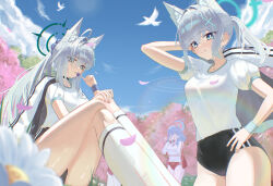 ako (blue archive) from blue archive