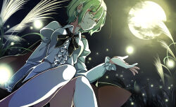 wriggle nightbug from touhou by gokuu (acoloredpencil)