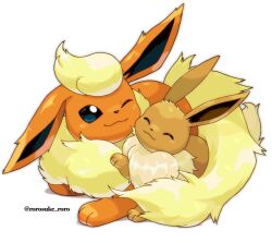 eevee from pokemon