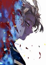 hawks (boku no hero academia) from boku no hero academia