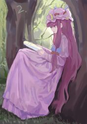 patchouli knowledge from touhou