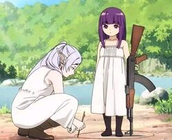 fern (sousou no frieren) from sousou no frieren