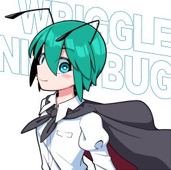 wriggle nightbug from touhou by solidus (sword cube)