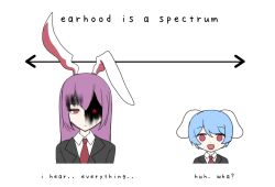 reisen (touhou bougetsushou) from touhou