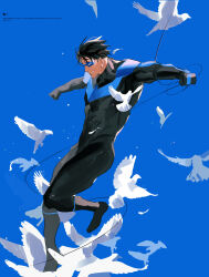nightwing from batman (series)