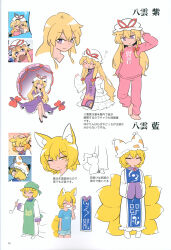yakumo ran from touhou by moyazou (kitaguni moyashi seizoujo)