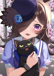 rice shower (umamusume) from umamusume