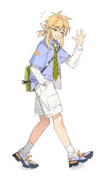 link from the legend of zelda