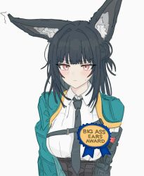 hoshimi miyabi from zenless zone zero