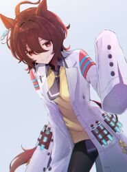 agnes tachyon (tach-nology) (umamusume) from umamusume