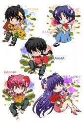 hibiki ryouga from ranma 1/2