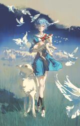ayanami rei from neon genesis evangelion