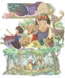snow white (disney) from snow white and the seven dwarfs (disney)