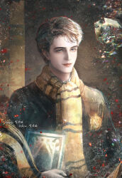 cedric diggory from harry potter (series)