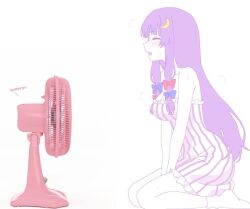 patchouli knowledge from touhou