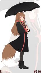 holo from spice and wolf