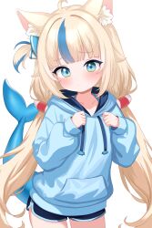 sameko saba from indie virtual youtuber