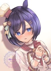 eishin flash (umamusume) from umamusume by setani neco
