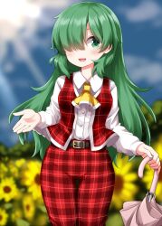 kazami yuuka from touhou by ruu (tksymkw)