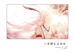 yae sakura from honkai (series)