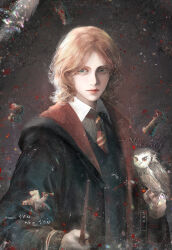 ron weasley from harry potter (series)