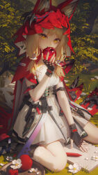 arknights fan art