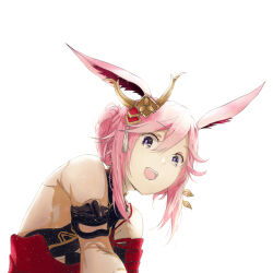 yae sakura from honkai (series)