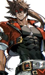 sol badguy from guilty gear