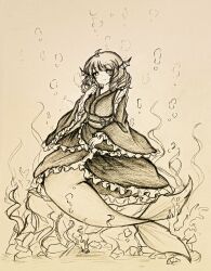 wakasagihime from touhou