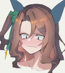 king halo (umamusume) from umamusume