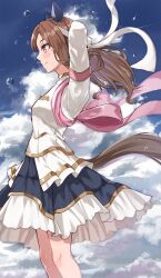 king halo (umamusume) from umamusume
