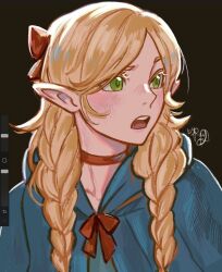 marcille donato from dungeon meshi