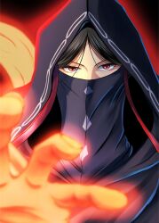 fate/strange fake fan art