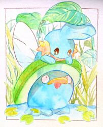 lotad from pokemon