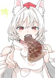 inubashiri momiji from touhou