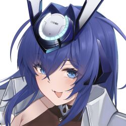 new jersey (azur lane) from azur lane