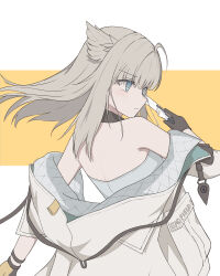 perlica (arknights) from arknights