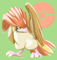 pidgeotto from pokemon