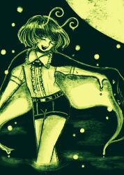 wriggle nightbug from touhou