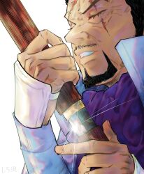 one piece fan art