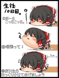 hakurei reimu from touhou by kitsunerider