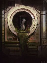 survivor (rain world) from rain world