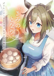 cheval grand (umamusume) from umamusume