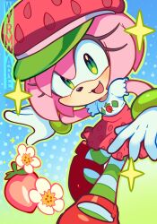 amy rose from sonic (series)