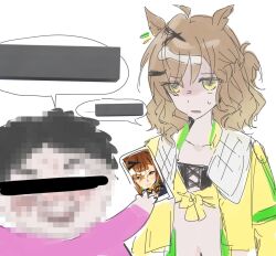 umamusume fan art